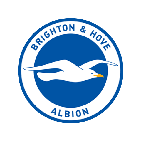 Brighton & Hove Albion Crest